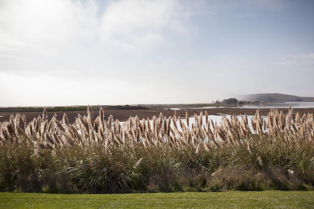 The Lodge at Bodega Bay photo 80