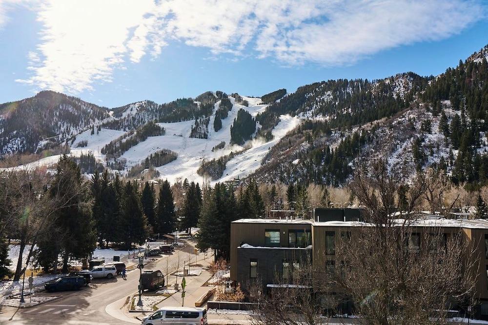 White Elephant Aspen photo 4