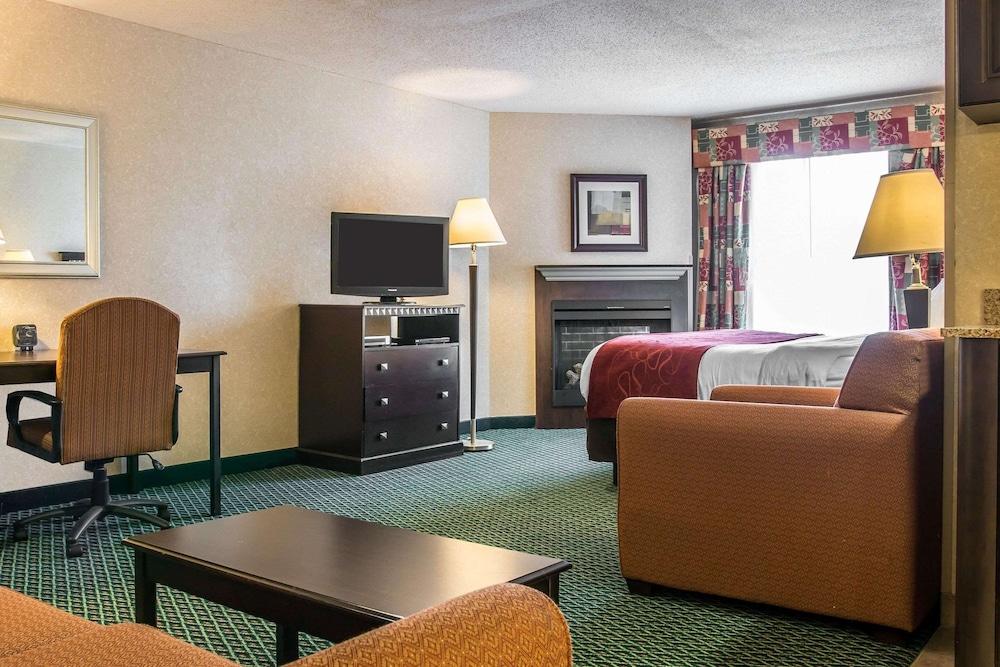 Comfort Suites Canton - Detroit photo 9