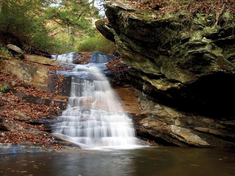 Bright's Creek Lodge photo 20