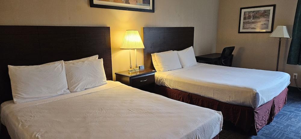 Bellis Inn photo 12