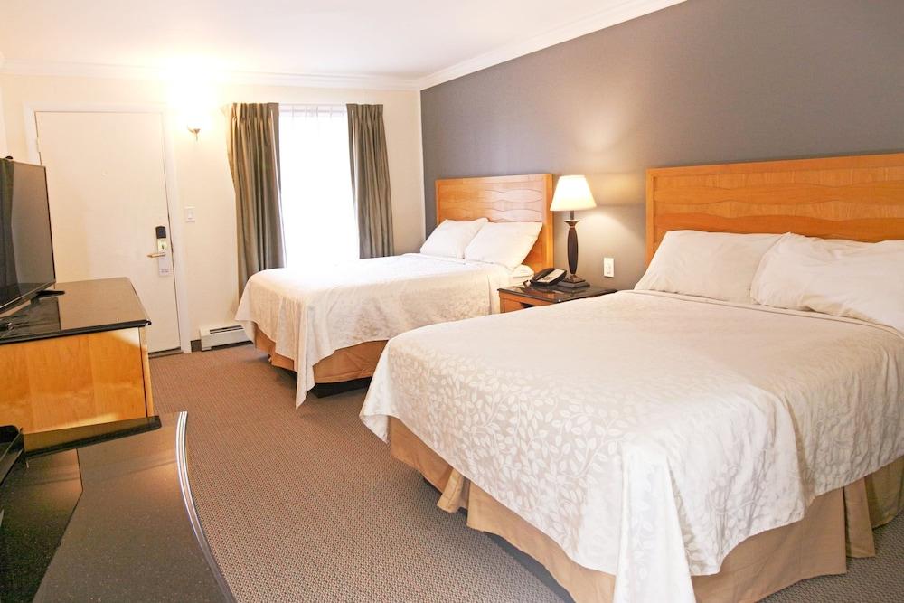 Moonlight Inn photo 7