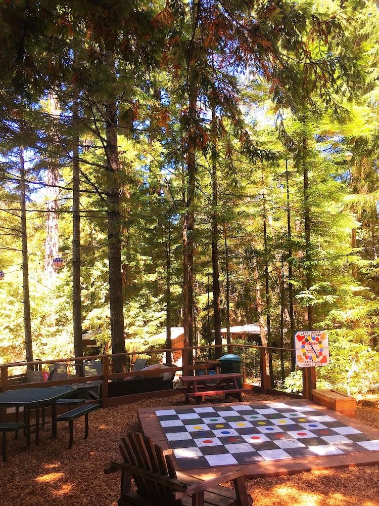 Redwoods River Resort photo 49