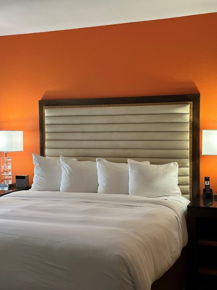 Moonrise Hotel photo 14