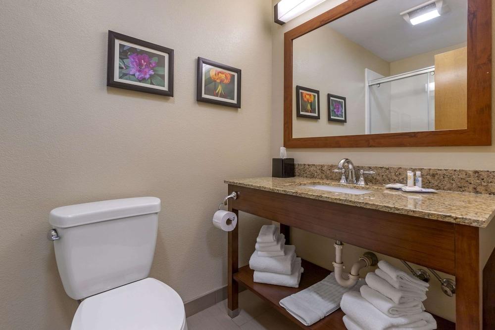 Comfort Suites Boone - University Area photo 26