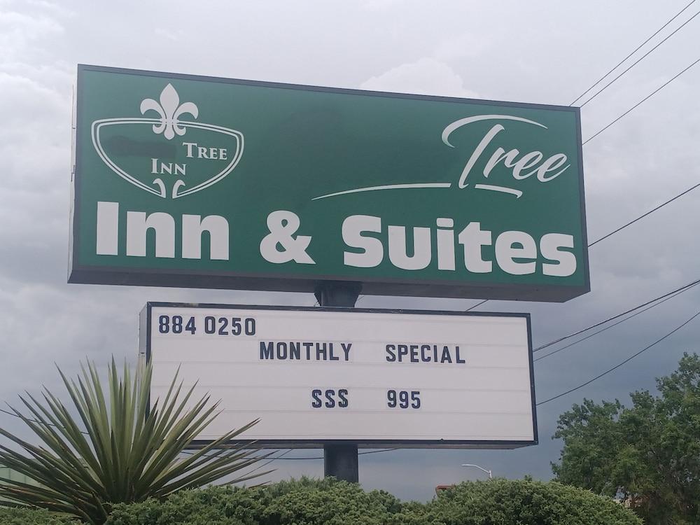 Tree Inn & Suites Albuquerque. photo 20