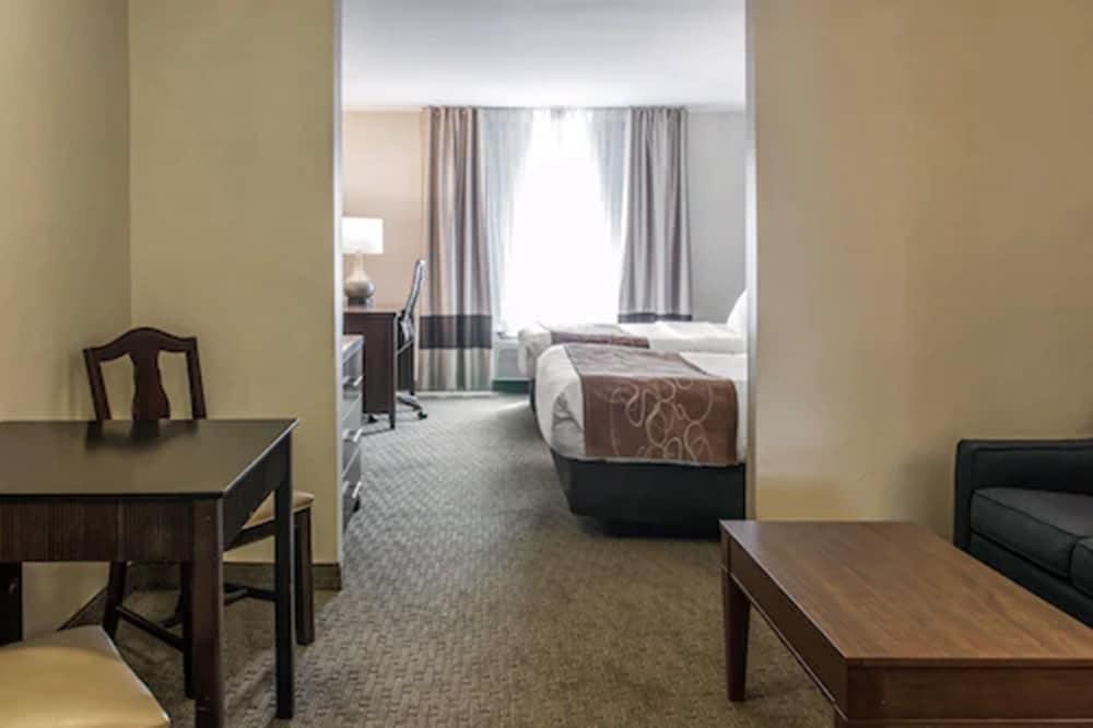 Comfort Suites Wixom - Novi photo 26