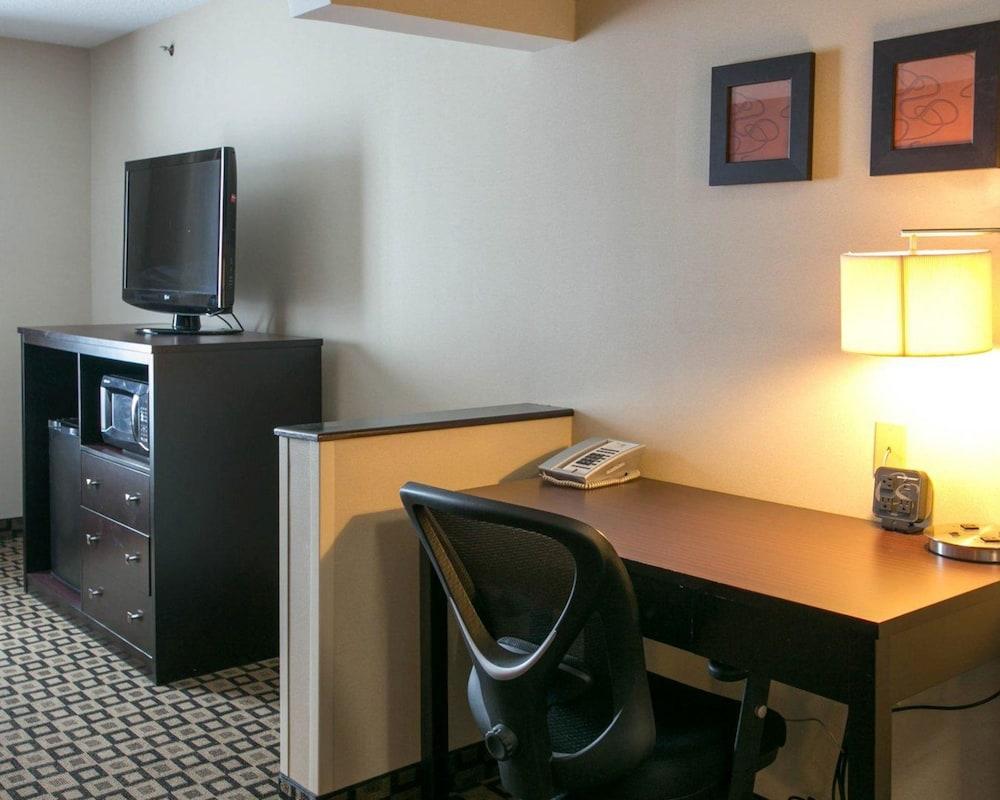 Comfort Suites Benton Harbor - St. Joseph photo 21