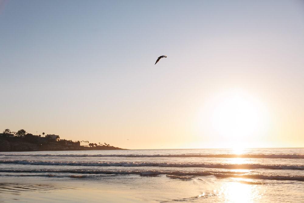 La Jolla Beach and Tennis Club photo 44