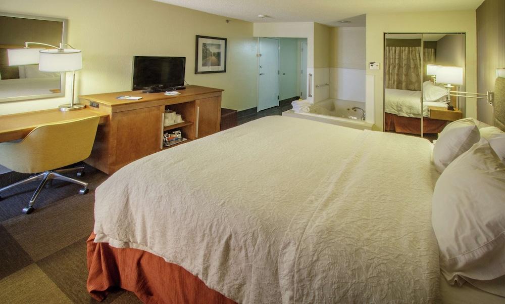 Hampton Inn South Haven photo 8