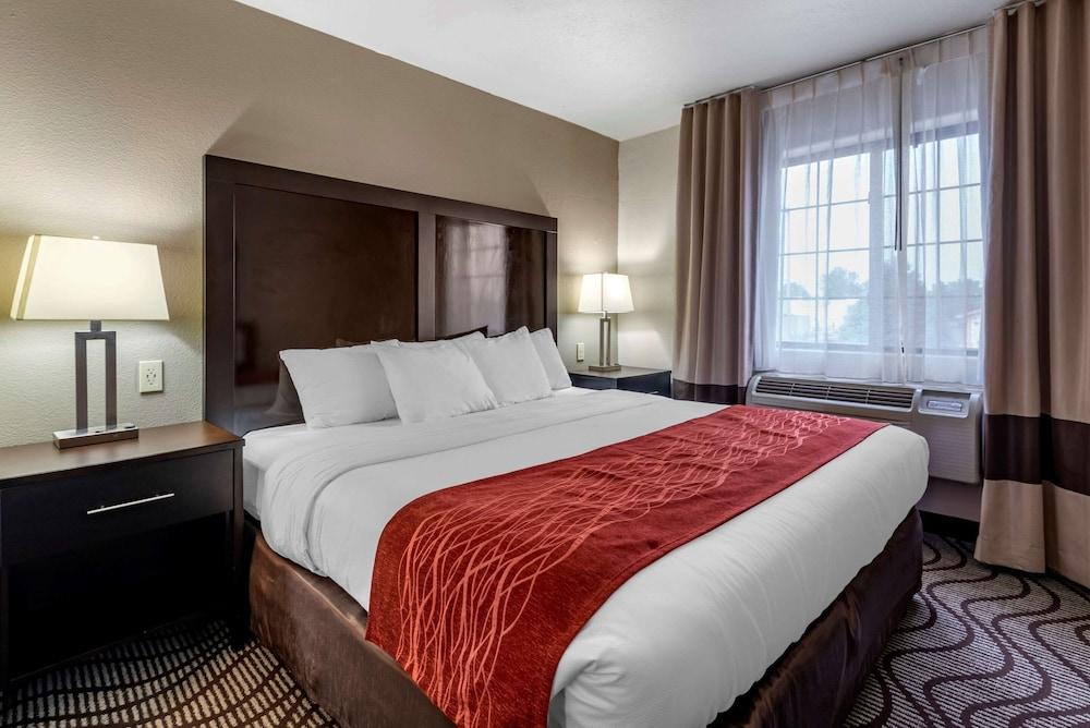 Comfort Inn & Suites Fruita - Grand Junction photo 18