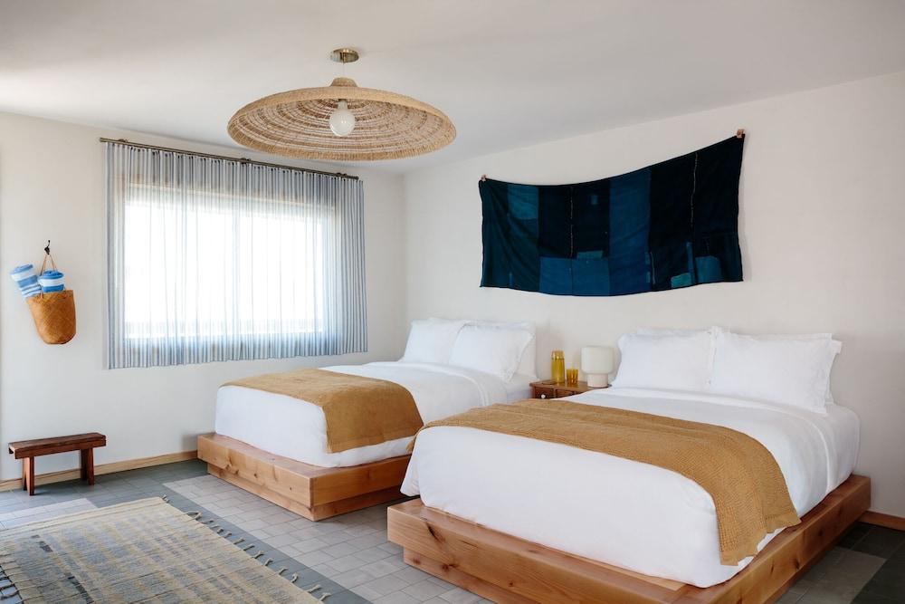 Daunt's Albatross Motel photo 8