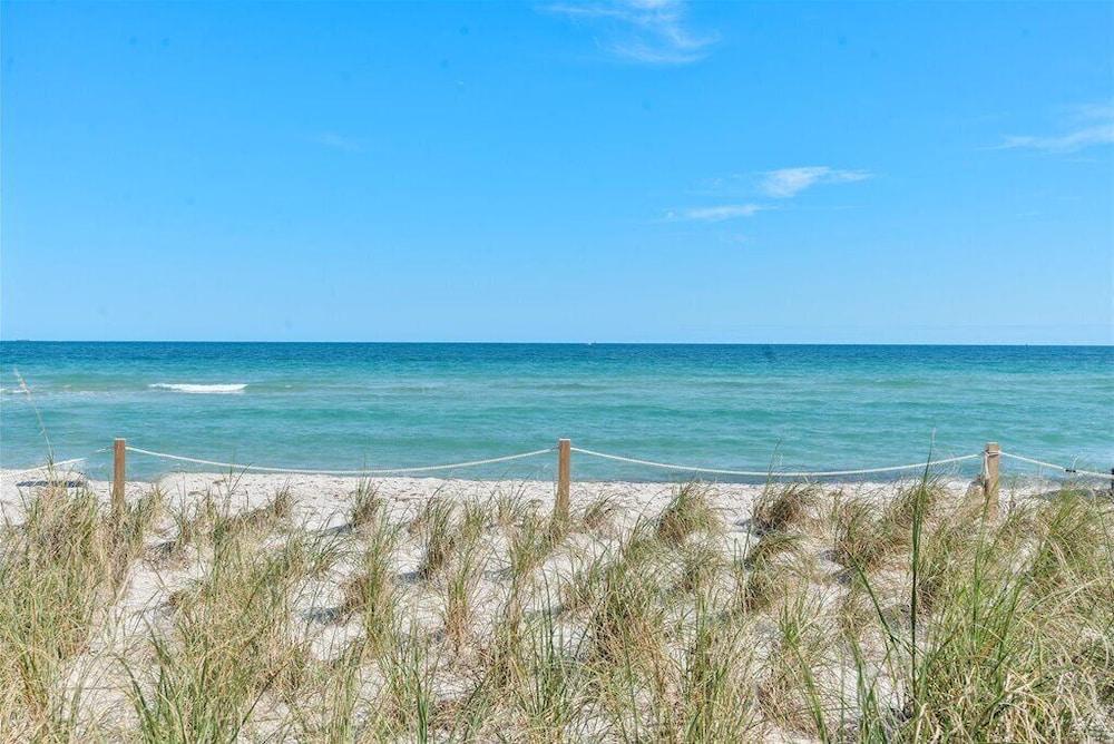 Palm By The Sea photo 32
