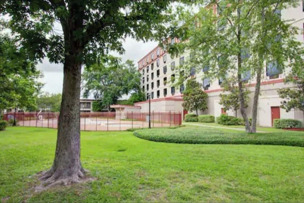 Signature Hotel photo 8
