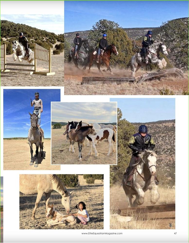 Teepee Lodge with Equus & Firearms/ranch photo 43