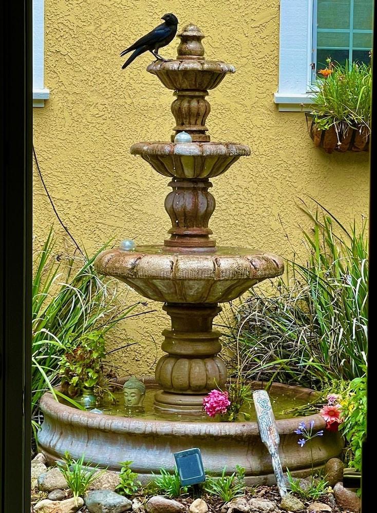 Glen Ellen Inn photo 7
