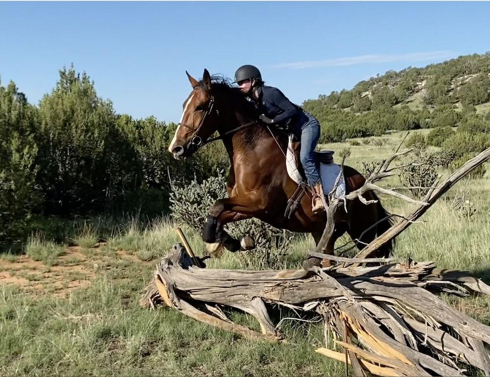 Teepee Lodge with Equus & Firearms/ranch photo 73