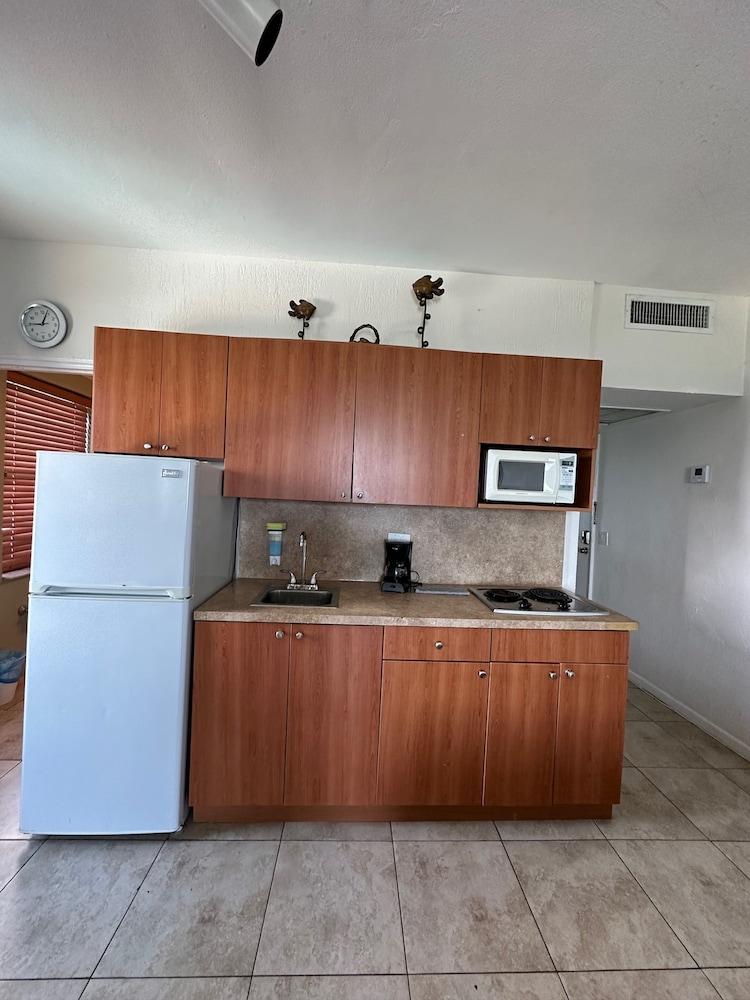 Casablanca Miami Beach photo 10