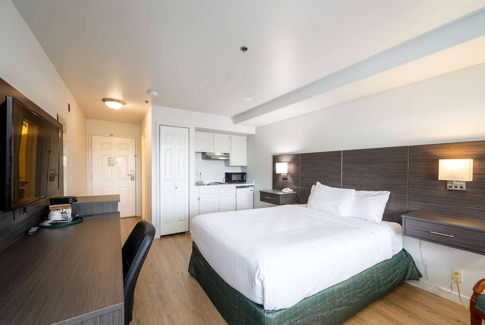 Baymont by Wyndham Bellingham photo 14