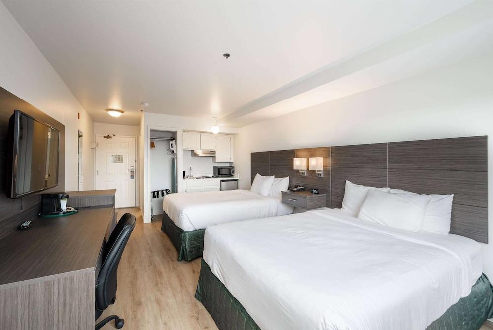 Baymont by Wyndham Bellingham photo 20