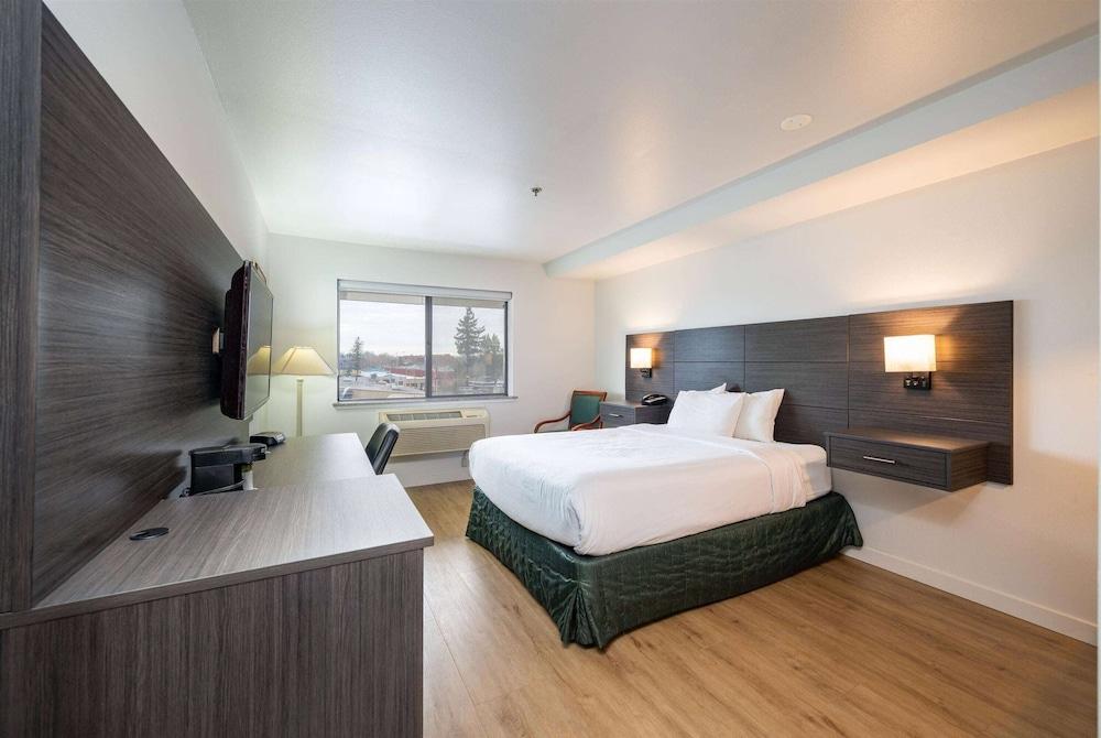Baymont by Wyndham Bellingham photo 10