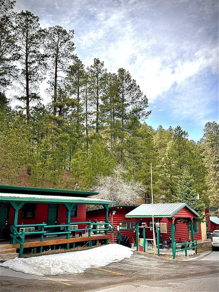 Ponderosa Pines photo 48