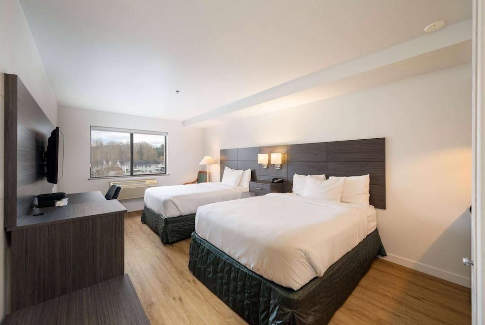 Baymont by Wyndham Bellingham photo 9