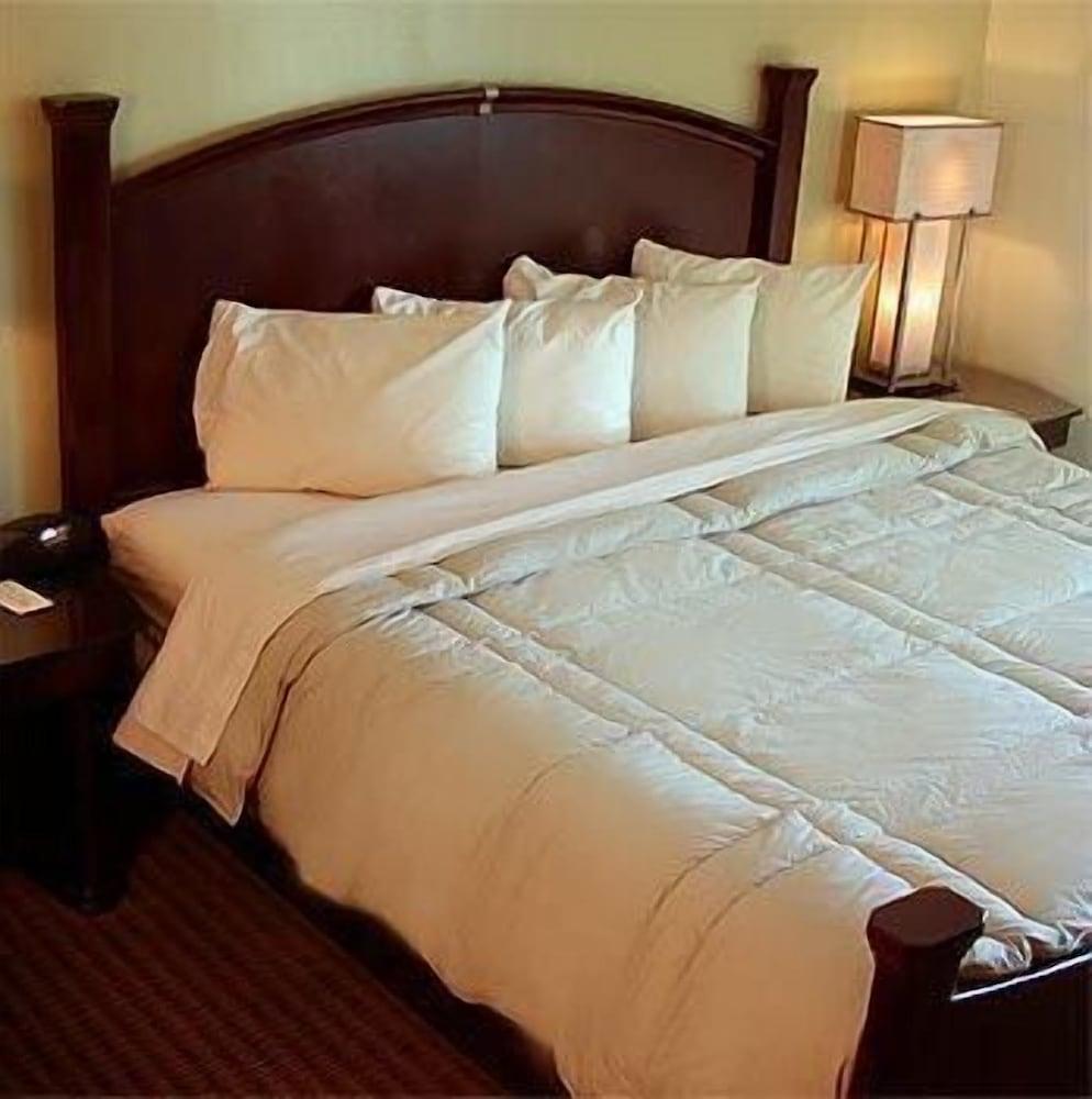 Marvin's Garden Inn photo 19