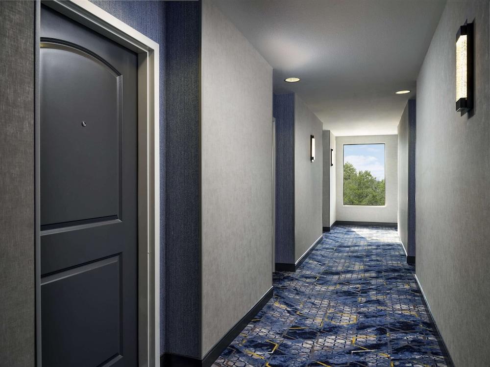 Hampton Inn & Suites Dallas-DFW ARPT W-SH 183 Hurst photo 35