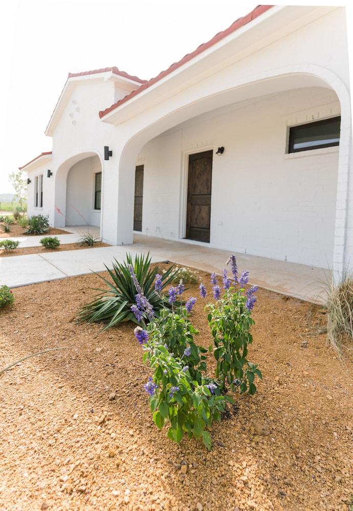 La Palmilla Texas photo 98
