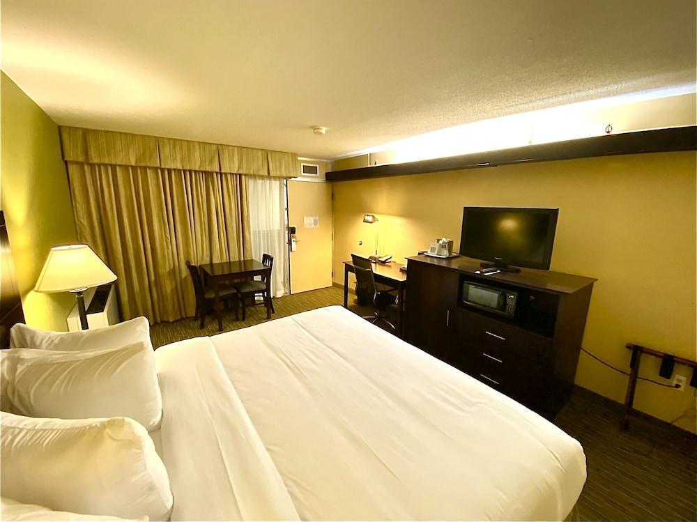 Wyndham Garden Ann Arbor photo 16