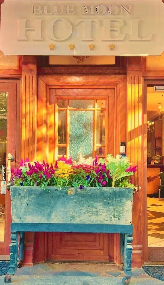 The Historic Blue Moon Hotel - NYC photo 1