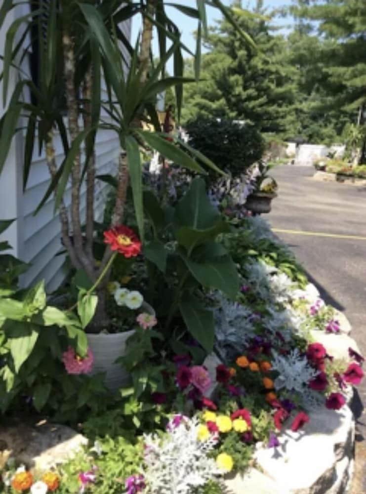 Spring Hill Motel photo 65
