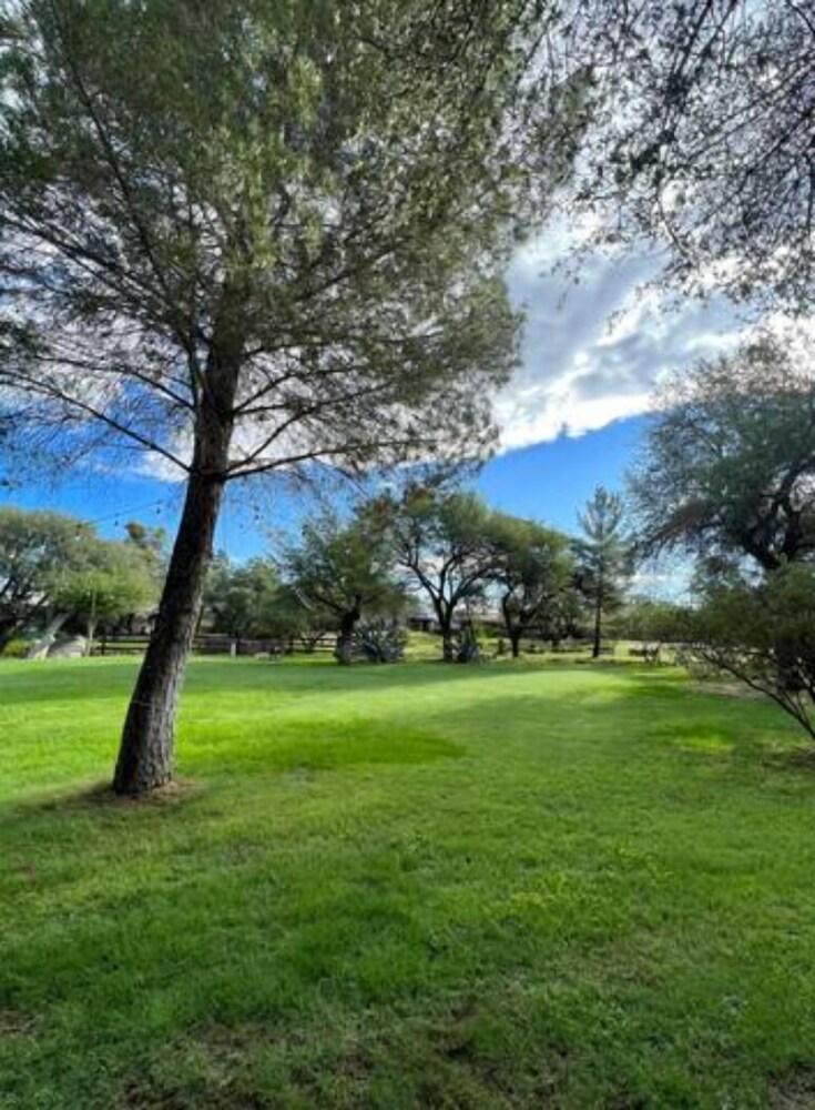 El Rancho Robles photo 89