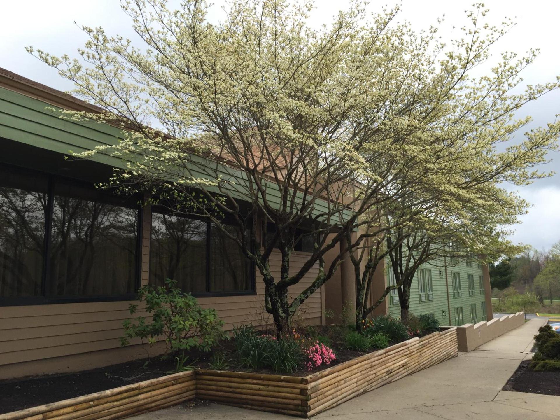 Holiday Lodge Hotel and Conference Center photo 16
