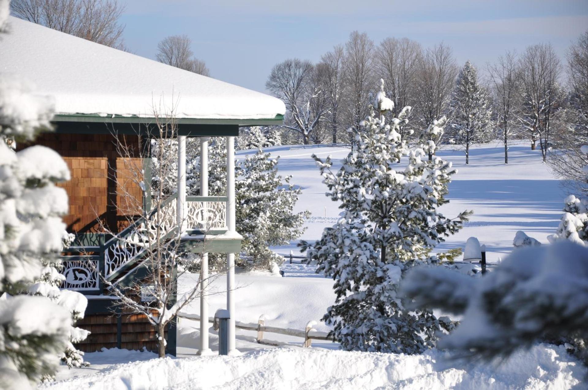 The Legend Cottage Inn photo 19