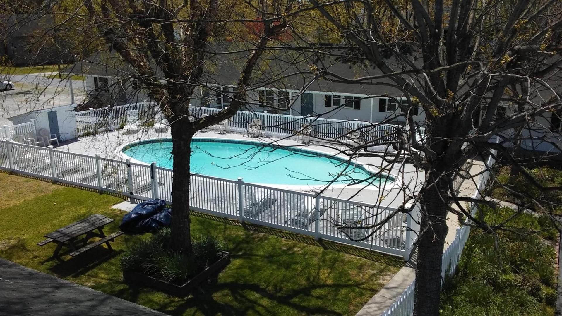 Sea Shell Motel photo 6
