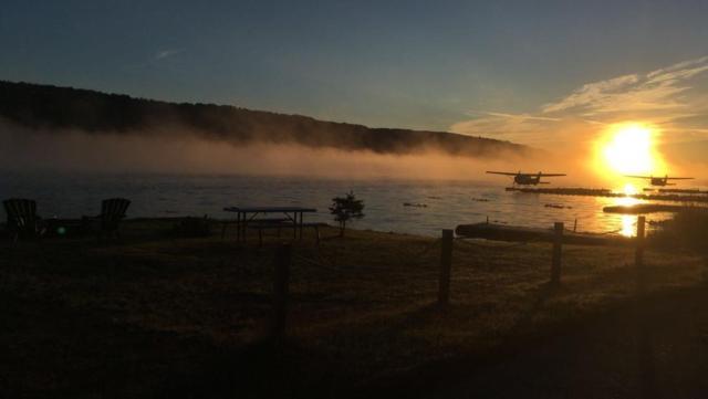 Homer Floatplane Lodge photo 14