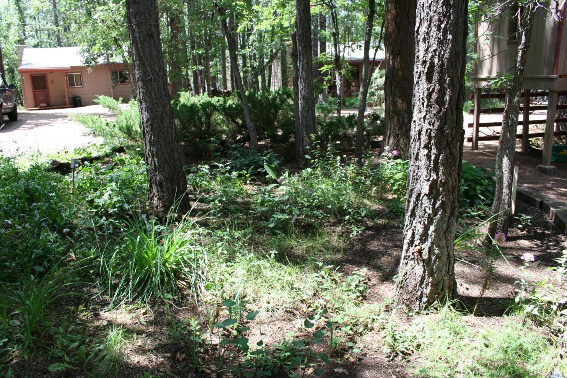 Northwoods Resort Cabins photo 7