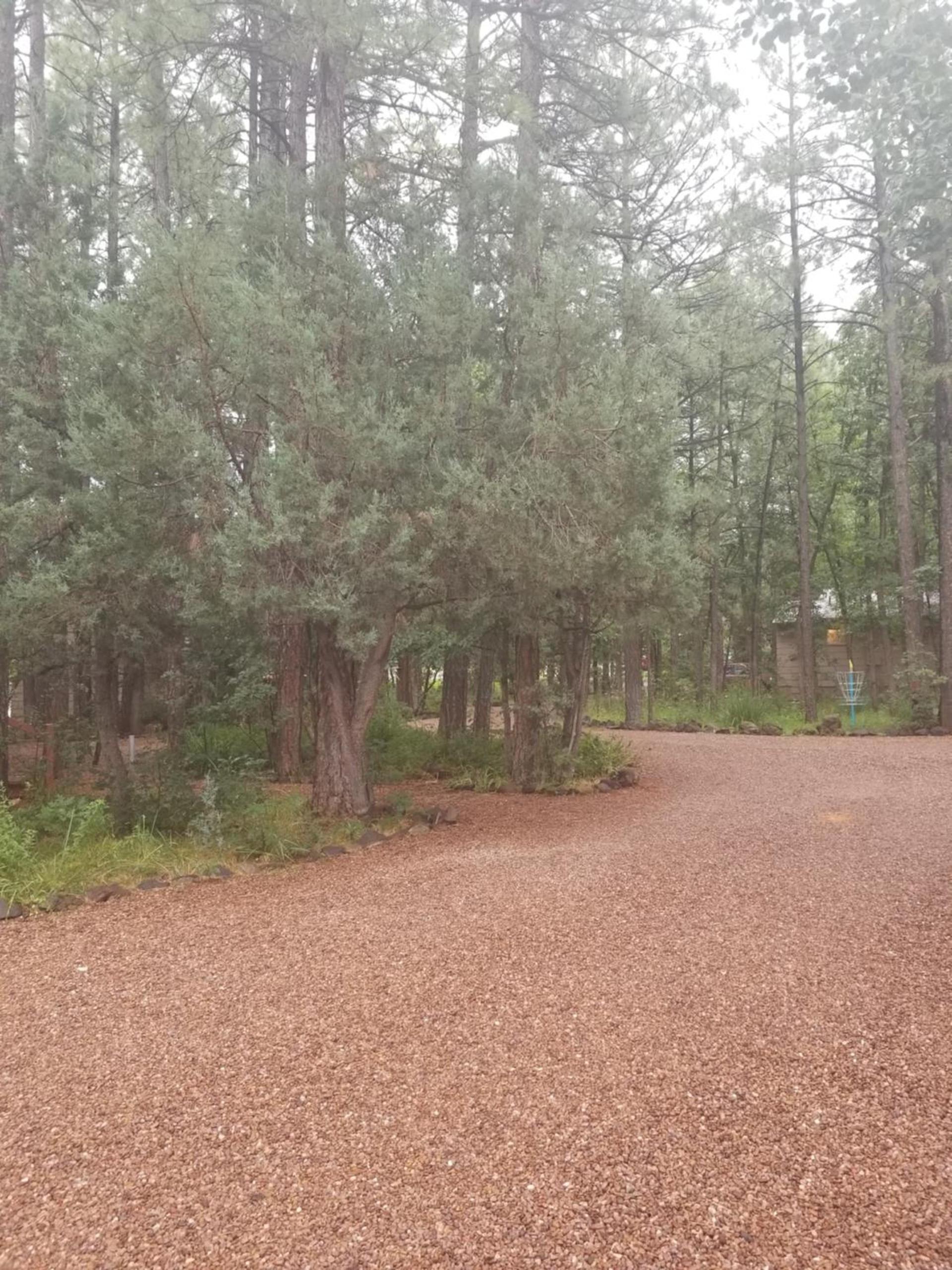 Northwoods Resort Cabins photo 4