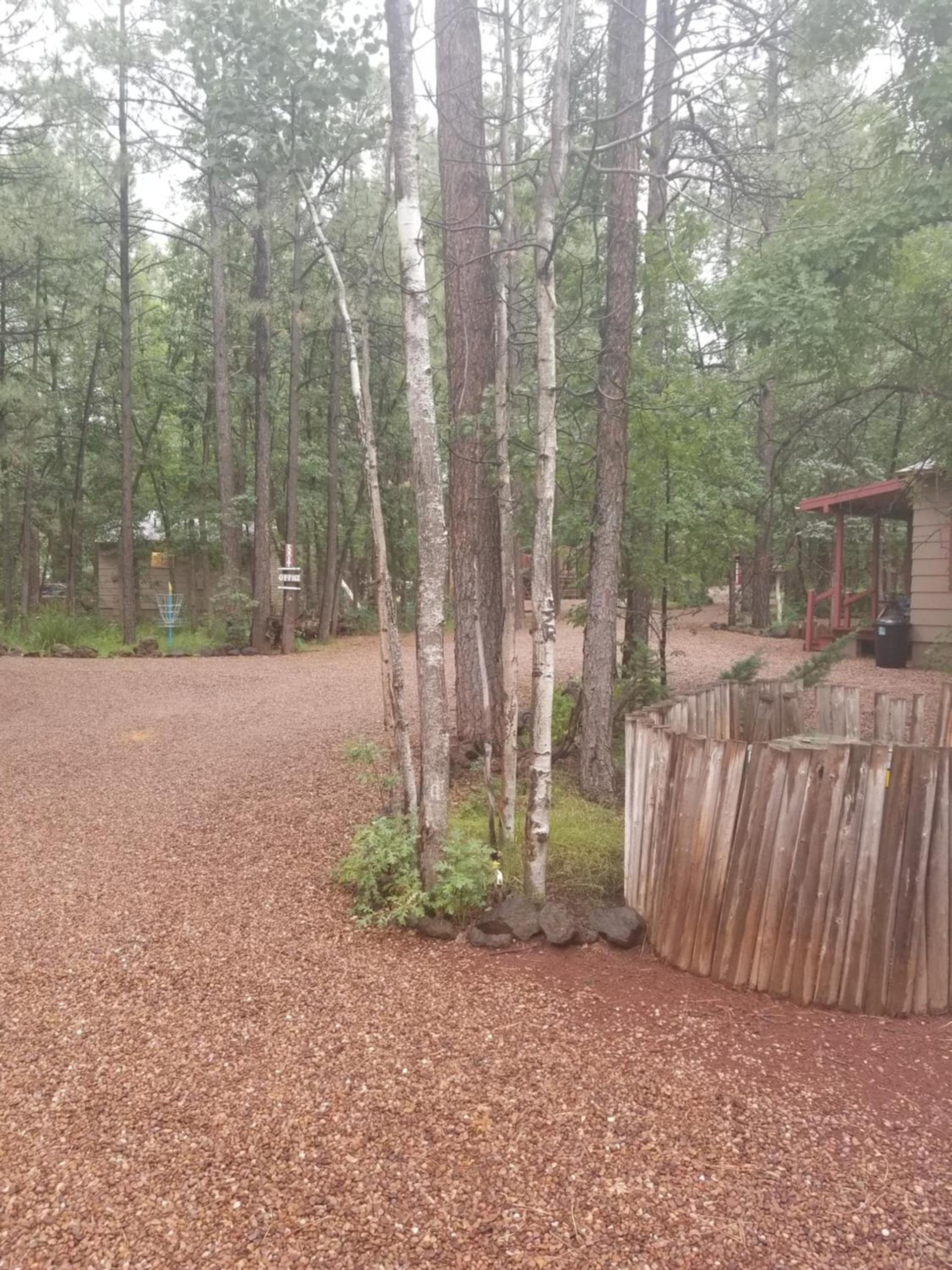 Northwoods Resort Cabins photo 3