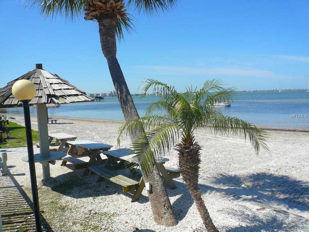 Your Hidden Private Gem "La Playa Azul" photo 52