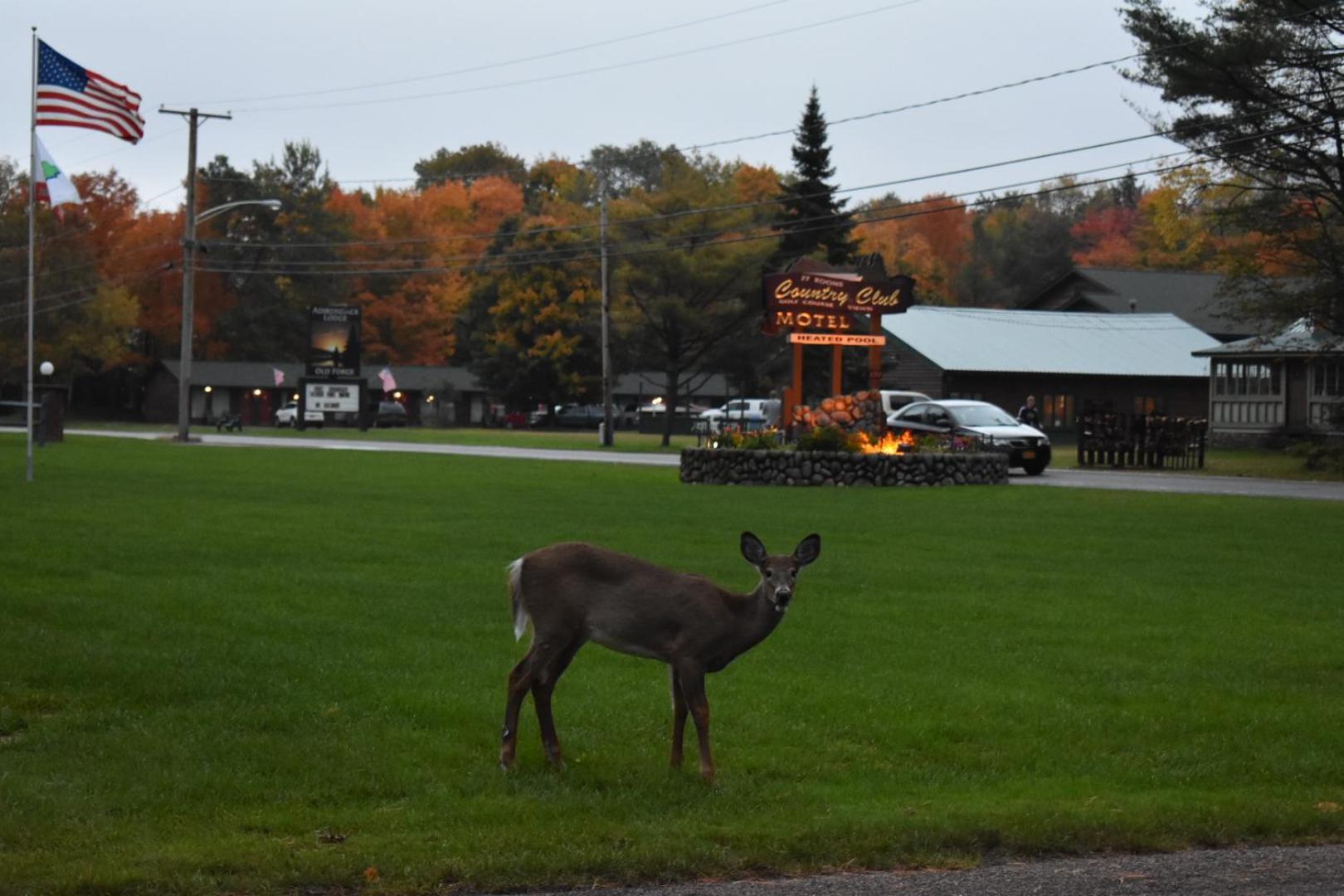 Country Club Motel photo 11