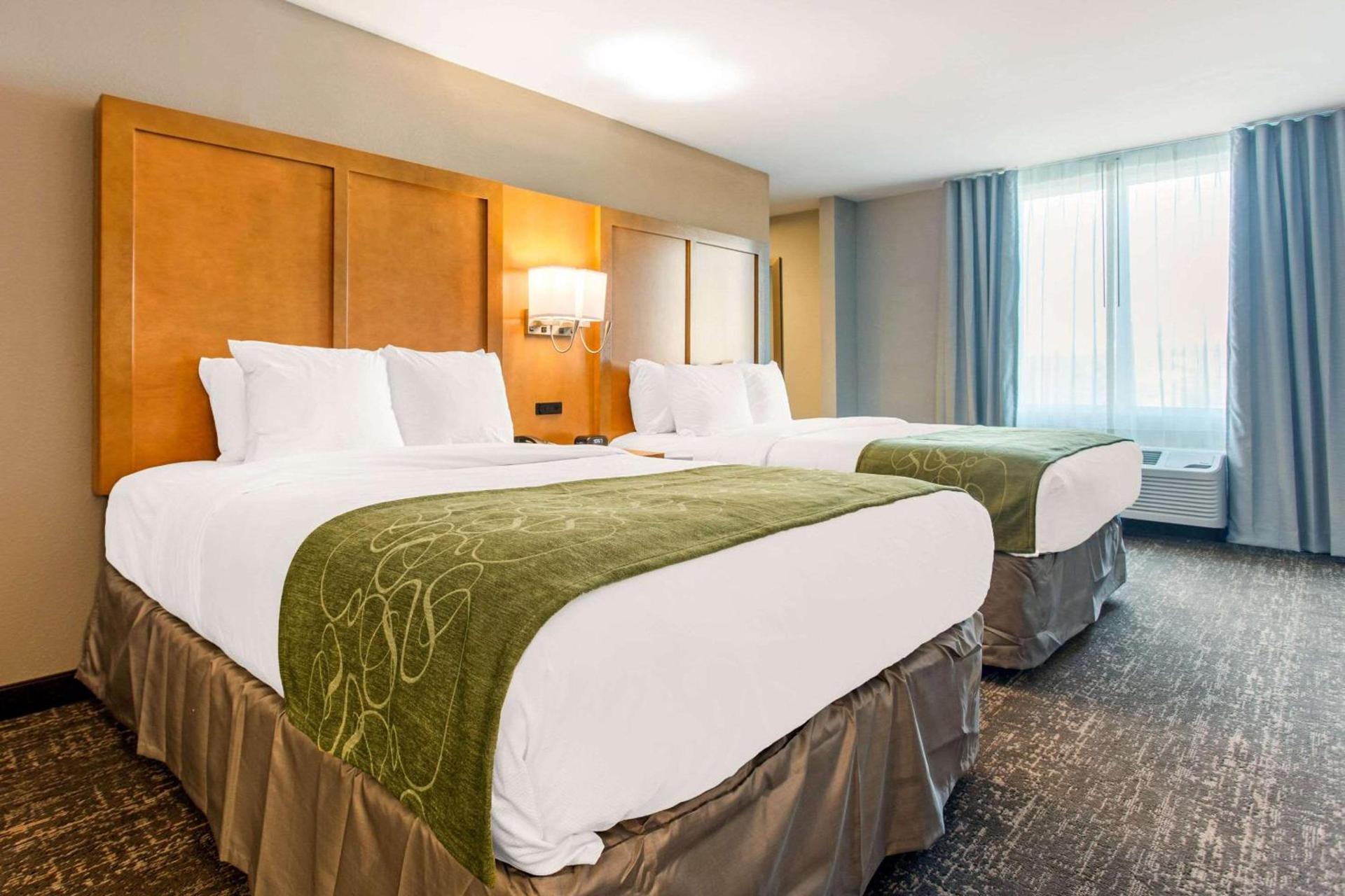 Comfort Suites North Charleston - Ashley Phosphate photo 19