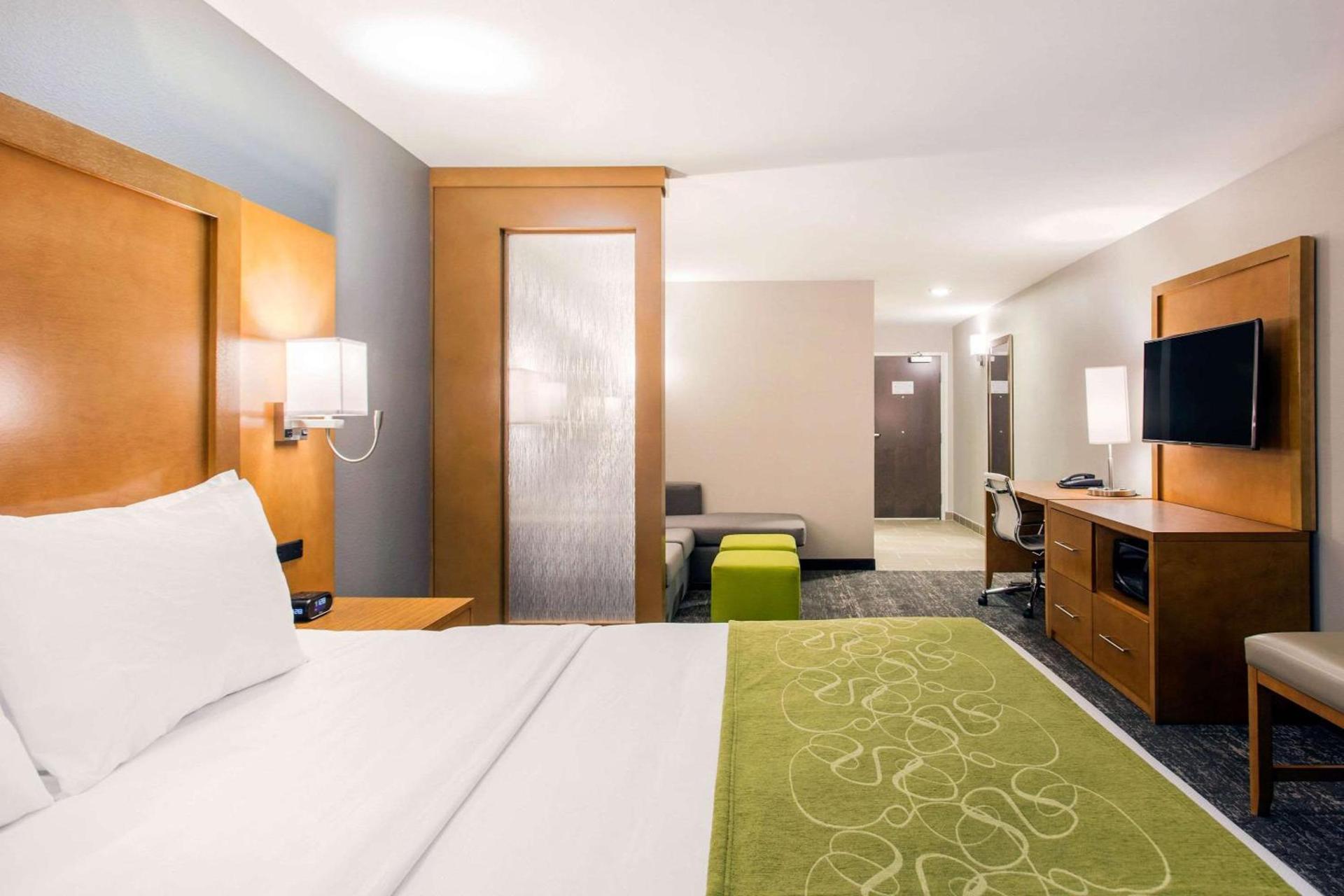 Comfort Suites North Charleston - Ashley Phosphate photo 15