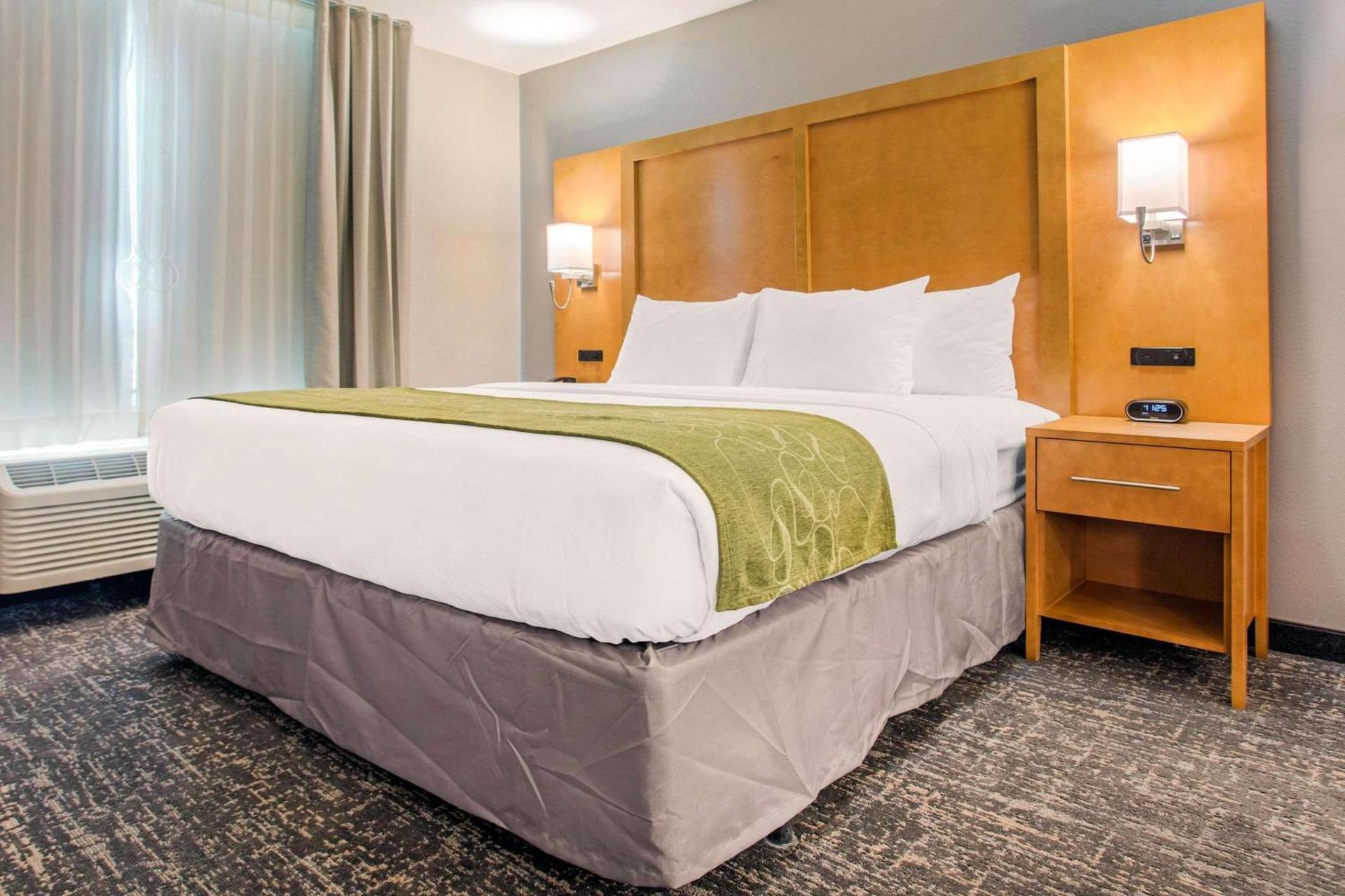 Comfort Suites North Charleston - Ashley Phosphate photo 12