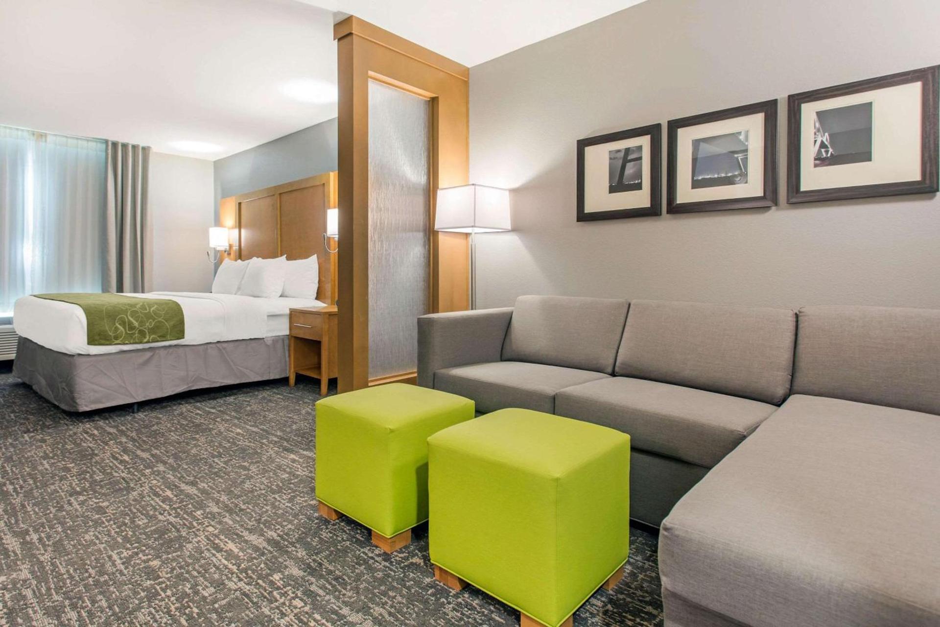 Comfort Suites North Charleston - Ashley Phosphate photo 34