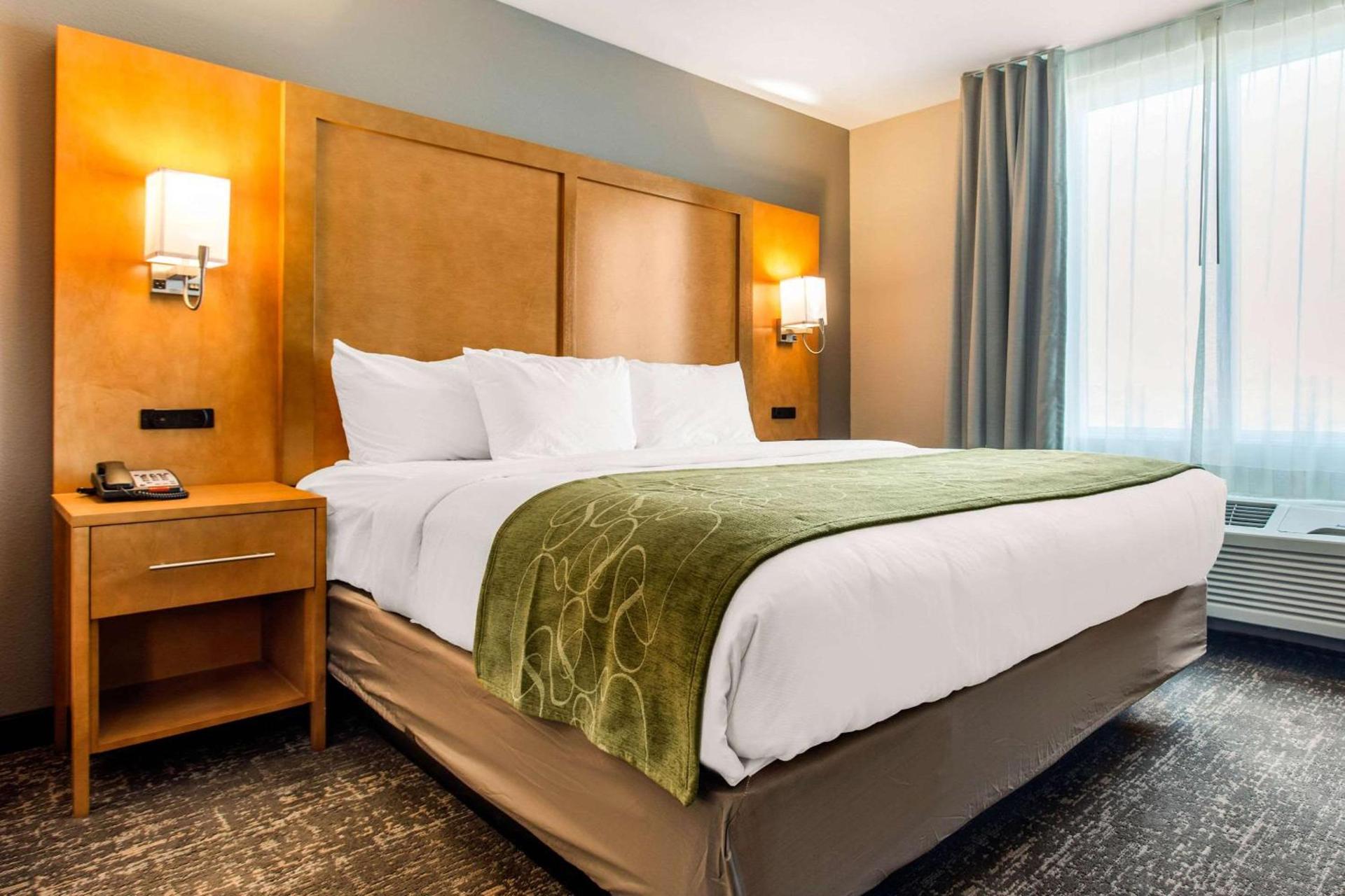 Comfort Suites North Charleston - Ashley Phosphate photo 22