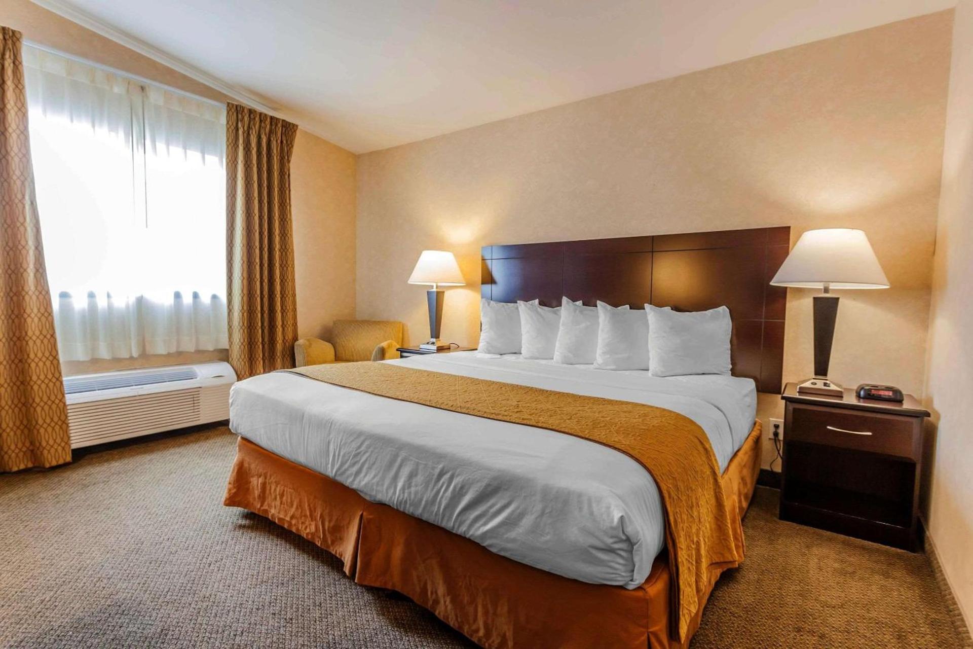 Quality Inn Arlington photo 8