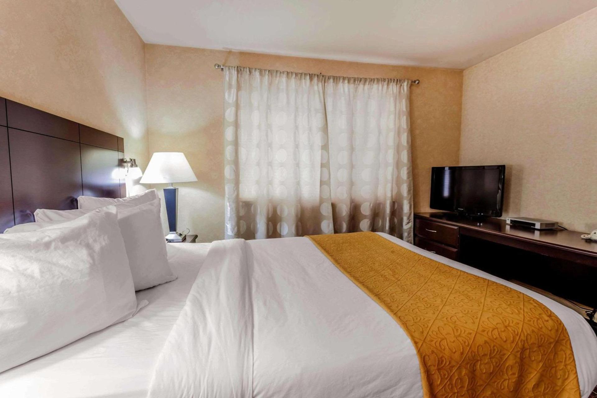 Quality Inn Arlington photo 14